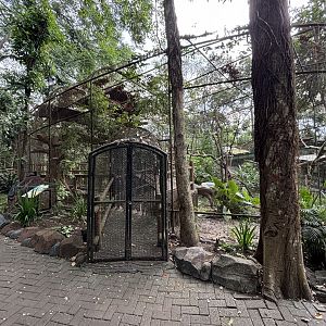 Walk-through Aviary - Bird Forest