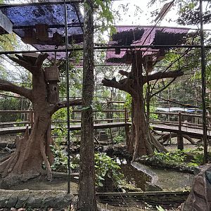 Walk-through Aviary - Bird Forest