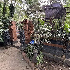 Bali Myna Aviary - Bird Forest