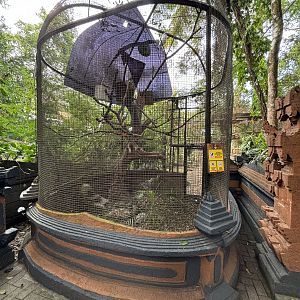 Bali Myna Aviary - Bird Forest