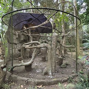 Barred Eagle Owl Aviary - Bird Forest