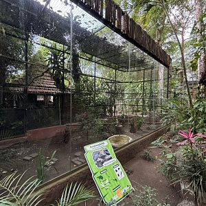 Rhinoceros Hornbill Aviary #1 - Bird Forest