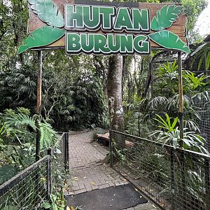 Bird Forest - entrance sign