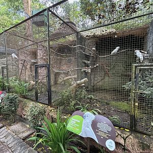 Assorted Aviaries