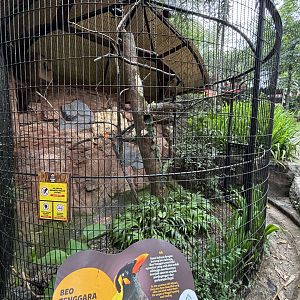 Tenggara Hyll Myna Aviary