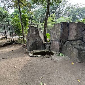 Asian Giant Tortoise Exhibit