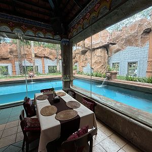 Tiger Cave Restaurant + Tiger Exhibit