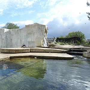 Polar bear enclosure