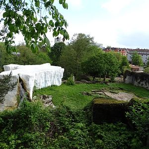 Polar bear enclosure