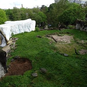 Polar bear enclosure