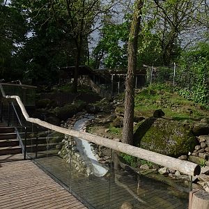 Small-clawed otter enclosure