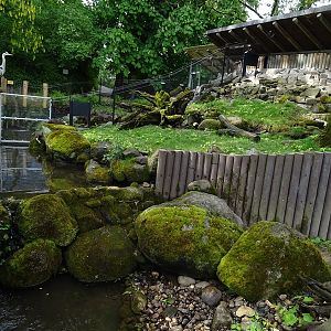 Small-clawed otter enclosure