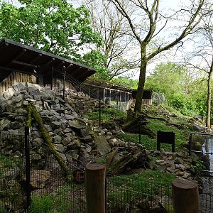 Small-clawed otter enclosure
