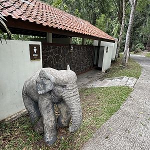 Elephant Statue + Toilets
