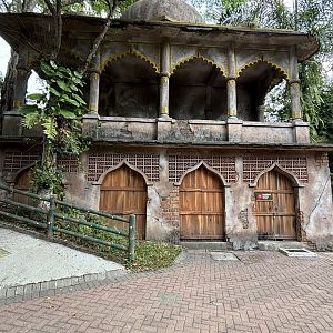 Carnivore Nightquarters