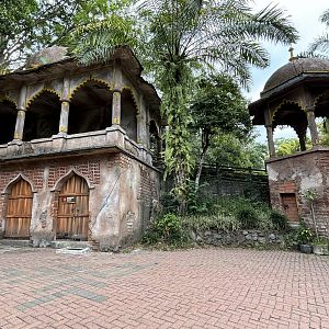 Carnivore Nightquarters