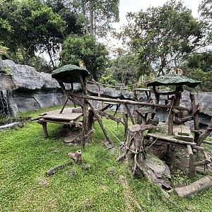Proboscis Monkey Exhibit