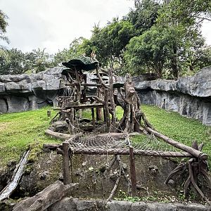 Proboscis Monkey Exhibit