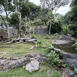Barking Deer Exhibit - wow!