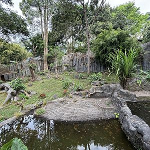 Barking Deer Exhibit