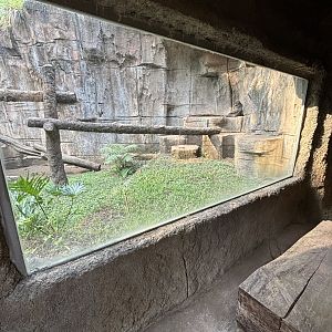 Mandrill Exhibit