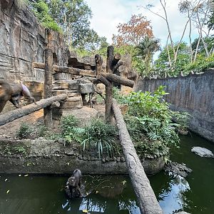 Mandrill Exhibit