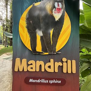 Mandrill Exhibit Sign