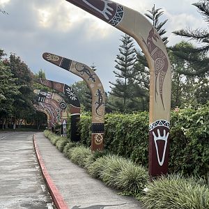 Australiana Pathway - huge boomerangs