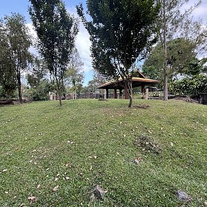 Common Wombat Exhibit - massive!