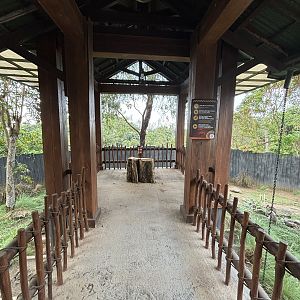 Walk-through Macropod Exhibit #1