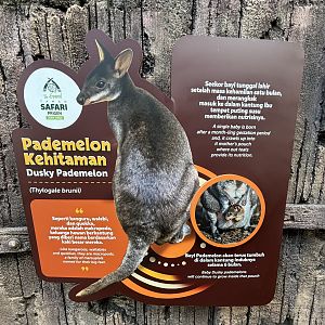 Walk-through Macropod Exhibit #1 Sign