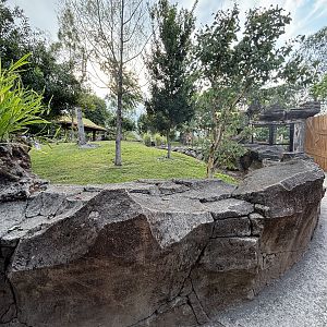 Common Wombat Exhibit