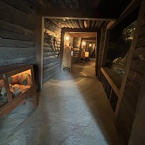 Mine Shaft Exhibits - Aussie Zone