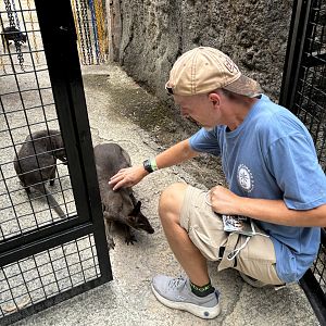 Myself + Dusky Pademelons