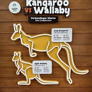 Walk-through Macropod Exhibit #2 Sign