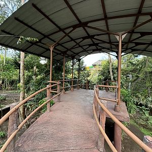 Future Koala Viewing Deck