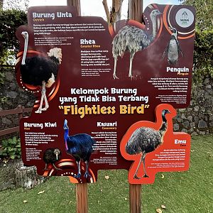 Flightless Bird Sign