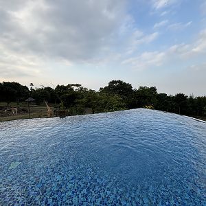 African Savanna + Infinity Pool - Baobab Safari Resort