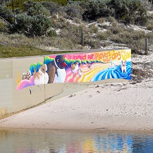 Hooded Plover and Red-capped Plover Mural