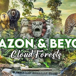 Amazon & Beyond PART ONE | Zoo Tours