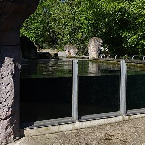 Common seal enclosure