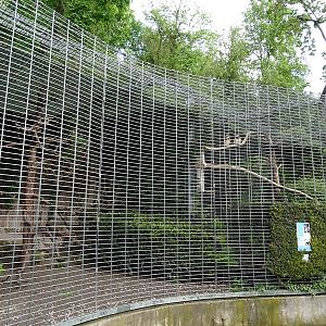 Aviaries for ural owl (left) and spectacled owl (right)
