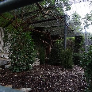 Aviary for European eagle owl