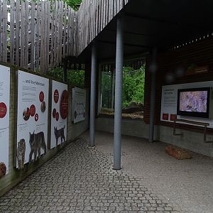 Lynx enclosure