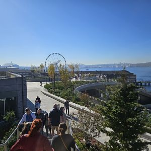 Overlook Walk (Ocean Pavilion Roof)