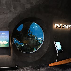 'The Reef' Refuge Window
