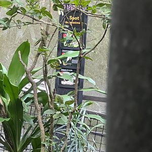 New Reptopia Aviary Sign