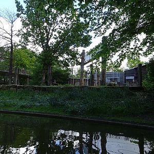 Elephant enclosure (from gondoletta ride)