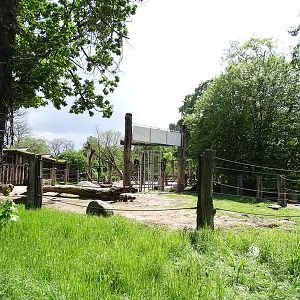 Elephant enclosure