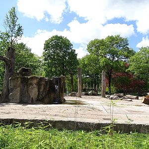 Elephant enclosure